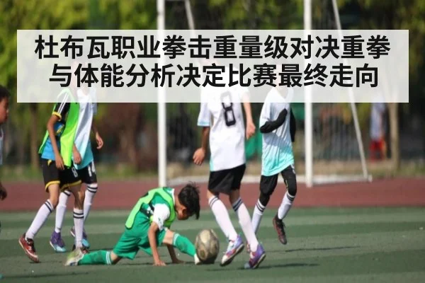 杜布瓦职业拳击重量级对决重拳与体能分析决定比赛最终走向